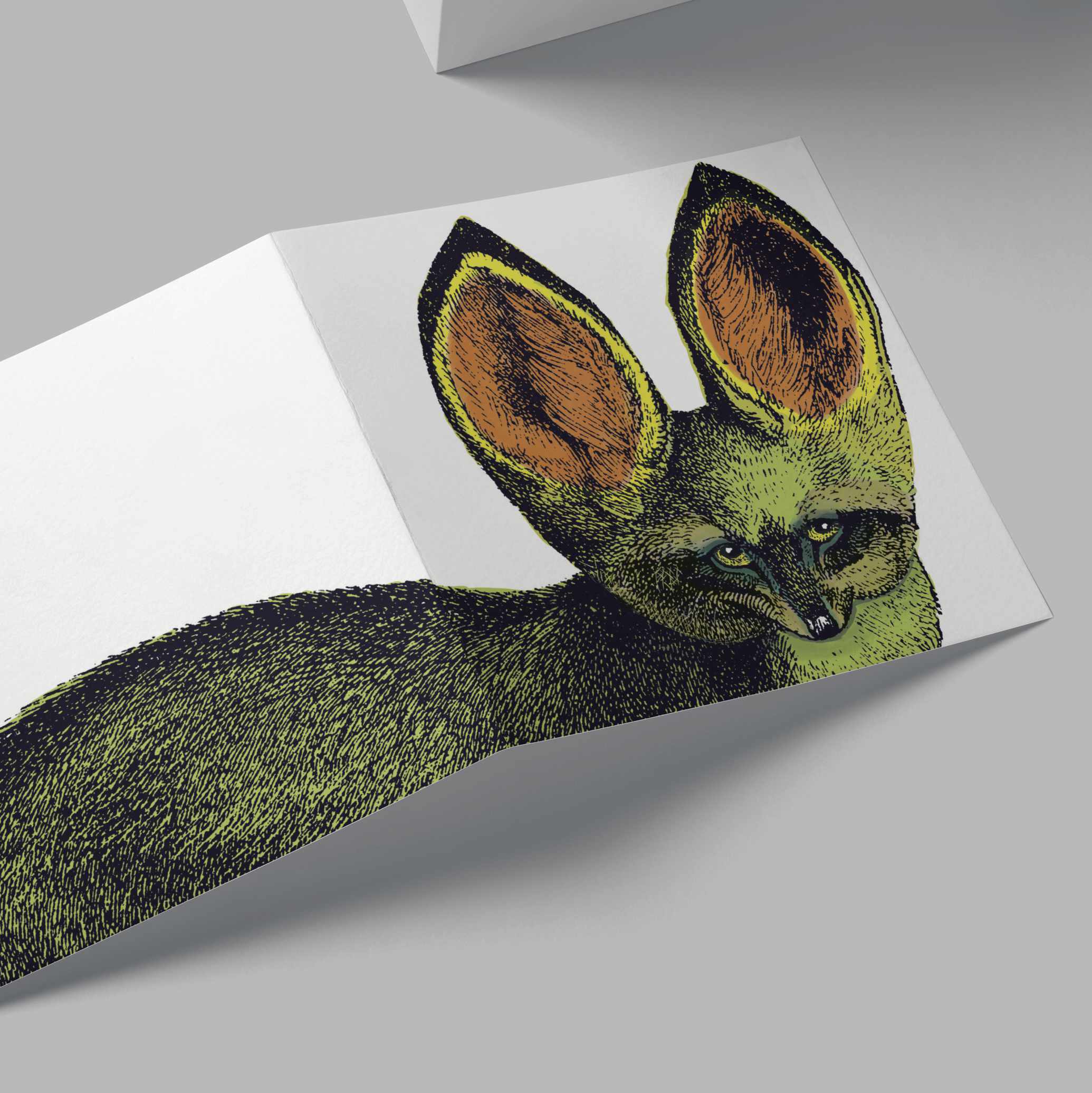 Bat-eared Fox Card